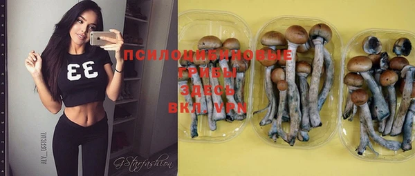 скорость Новодвинск