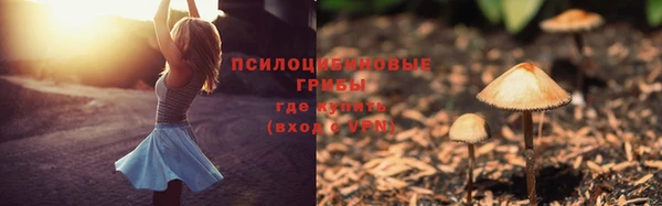 спайс Новозыбков