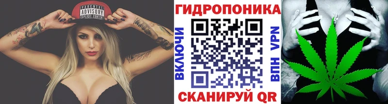 Бошки марихуана THC 21%  Руза 